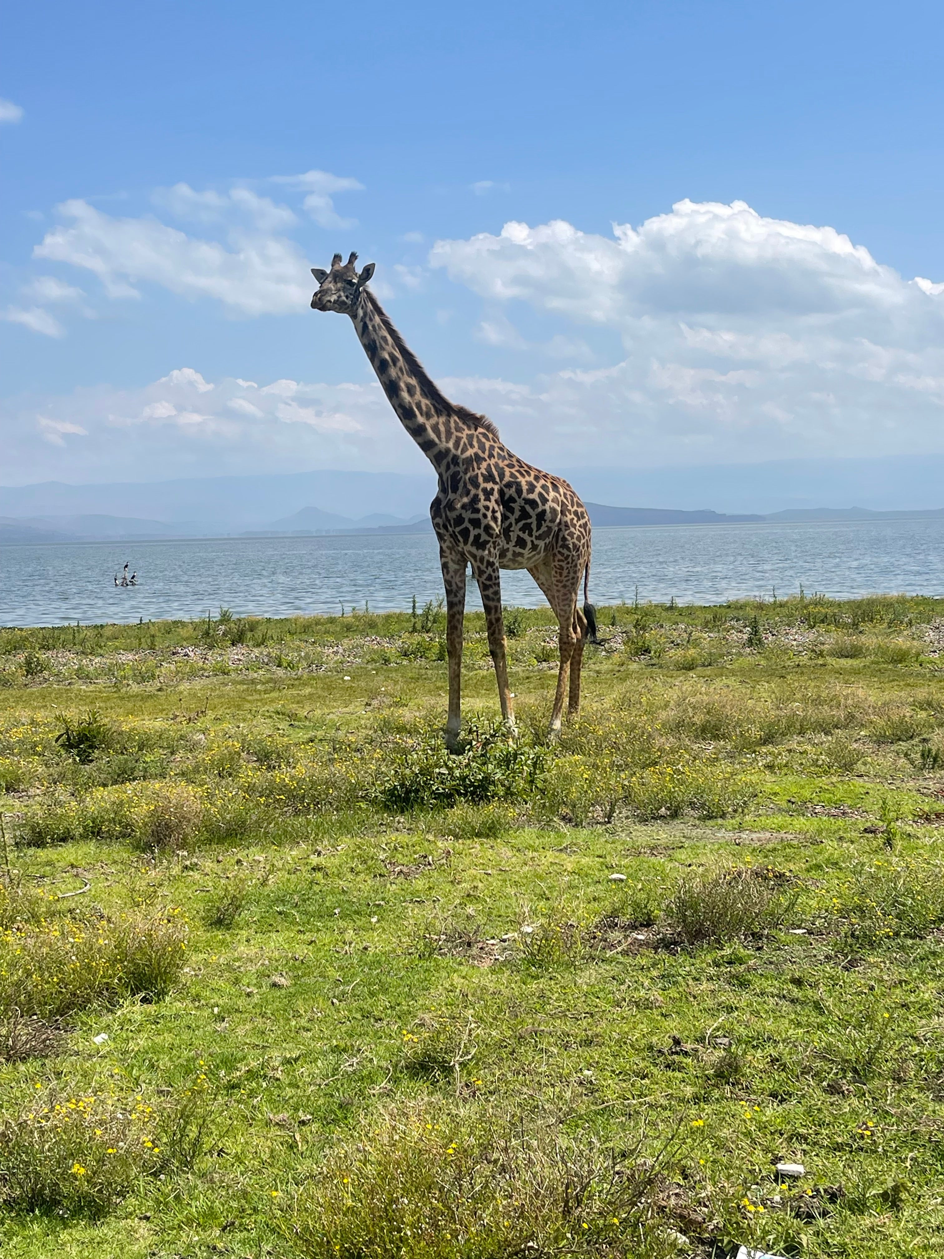 Kenya